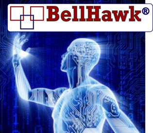 BellHawk Image