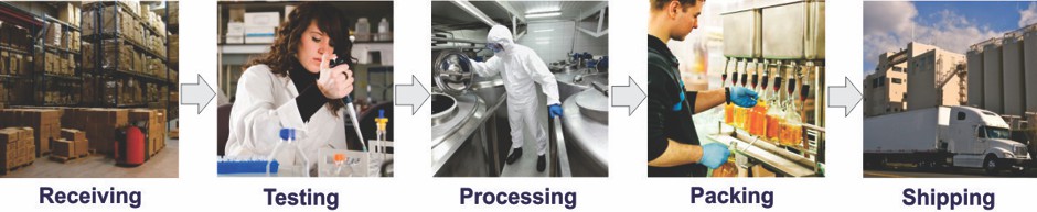 Food Processingk